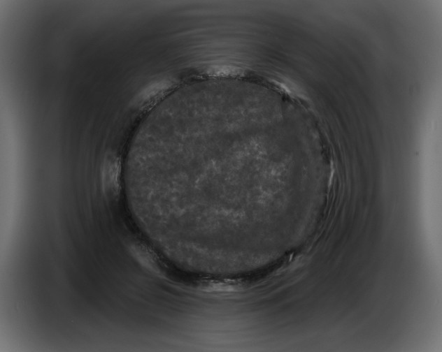 X0000086730550200705041349