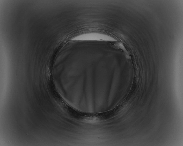 X0000086730551200705041349