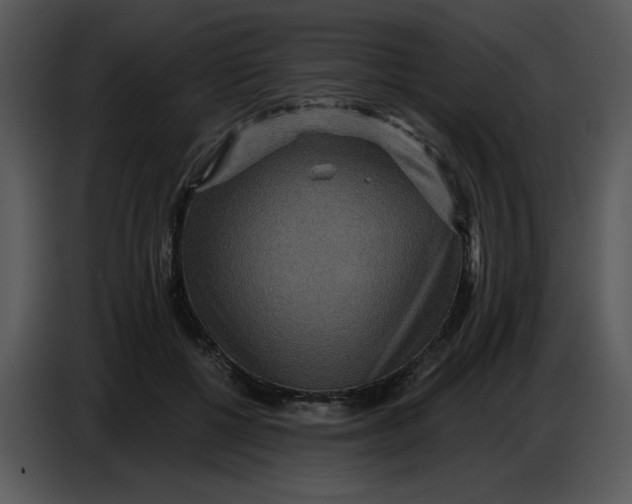 X0000086730552200705041349