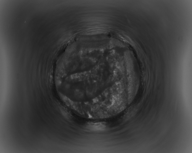 X0000086730553200705041349