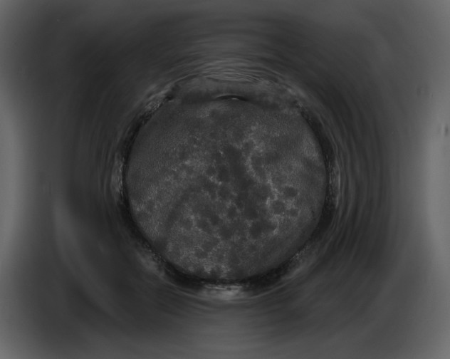 X0000086730554200705041349