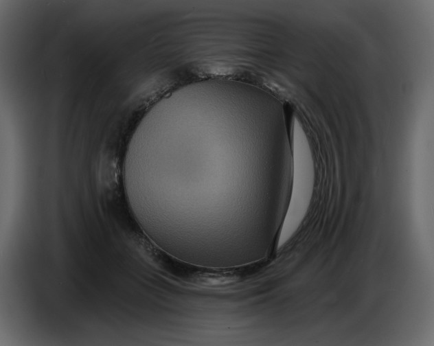 X0000086730555200705041349