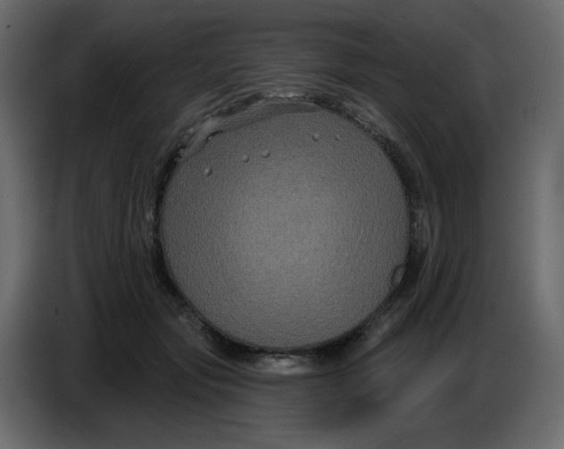 X0000086730557200705041350