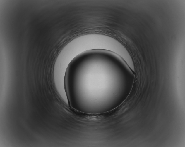 X0000086730558200705041350