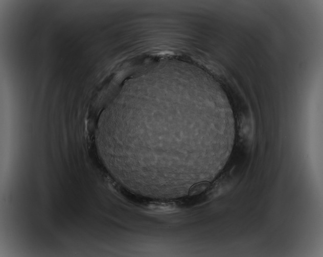 X0000086730559200705041350