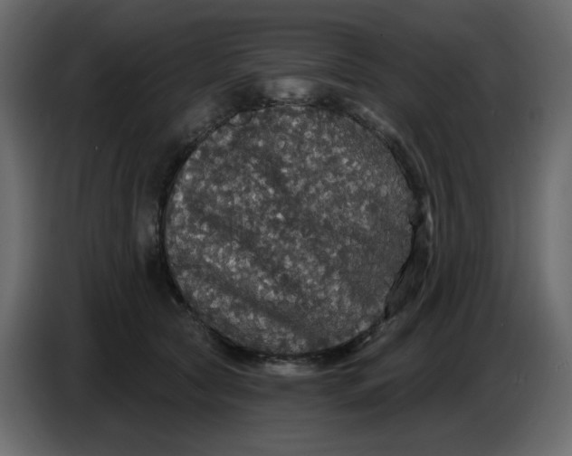 X0000086730561200705041350