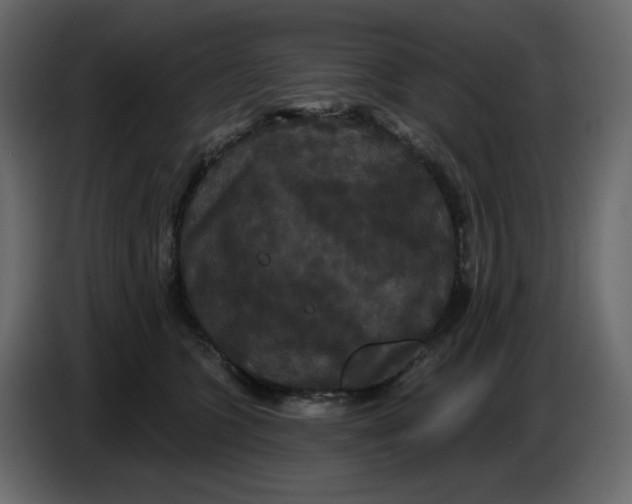 X0000086730563200705041350