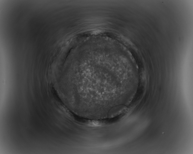 X0000086730565200705041350