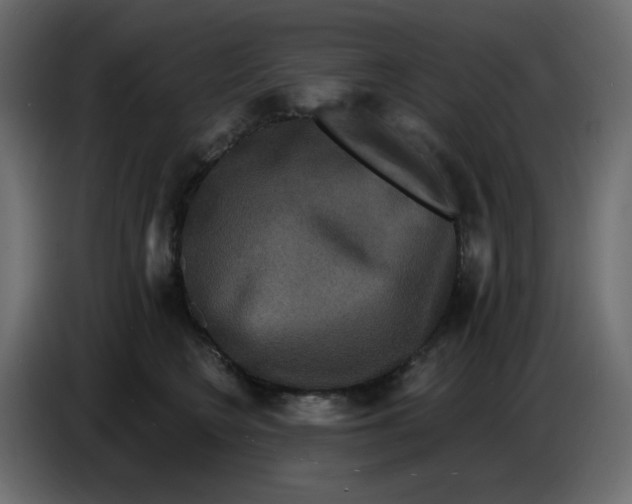 X0000086730566200705041350