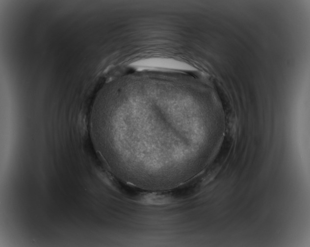 X0000086730568200705041350