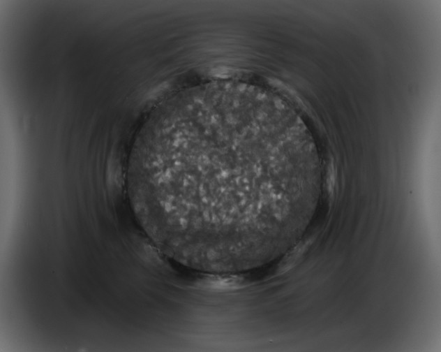 X0000086730569200705041350