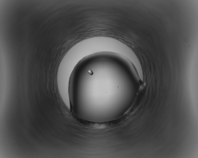 X0000086730570200705041350