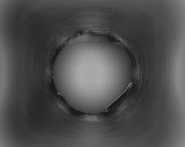 X0000086730572200705041350