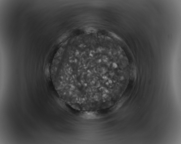 X0000086730573200705041350