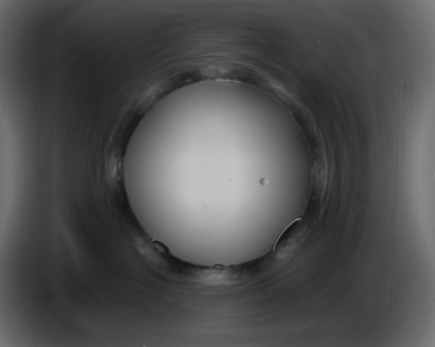 X0000086730574200705041350