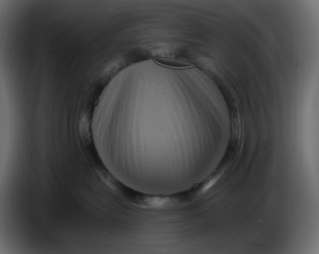 X0000086730575200705041350