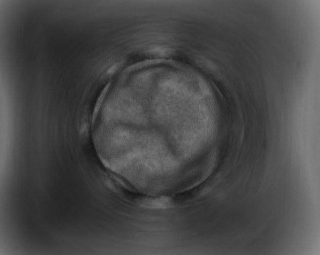 X0000086730576200705041350