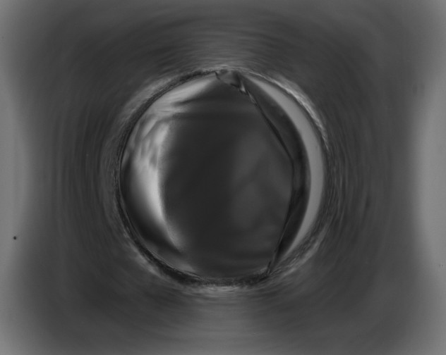 X0000086730577200705041349