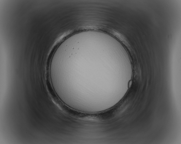 X0000086730578200705041349