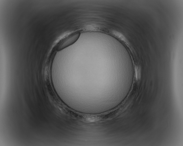 X0000086730579200705041349