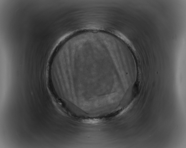 X0000086730580200705041349