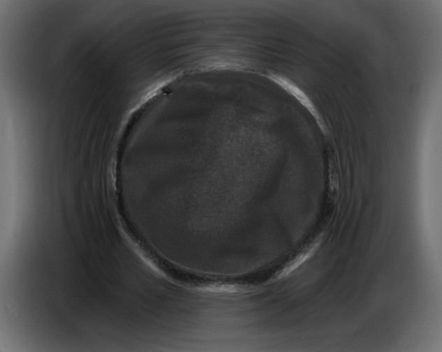 X0000086730581200705041349