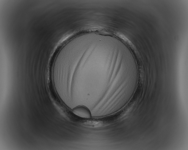 X0000086730582200705041349