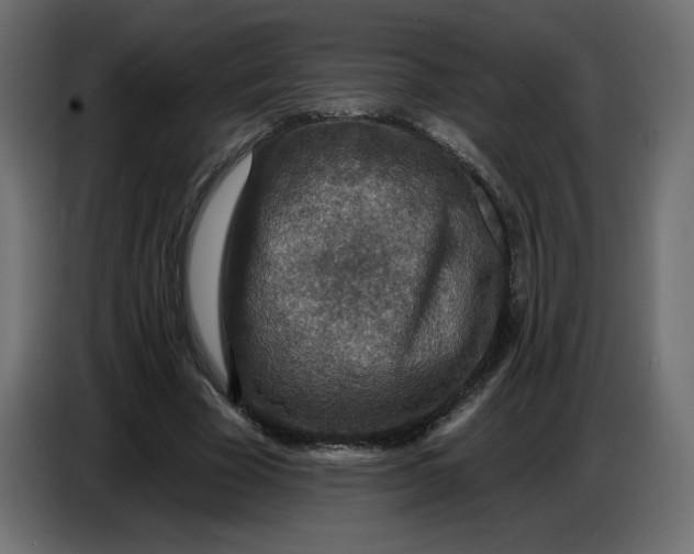 X0000086730585200705041349