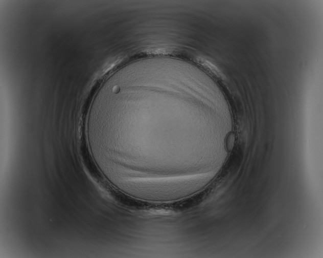 X0000086730586200705041349