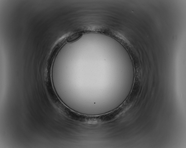 X0000086730587200705041349