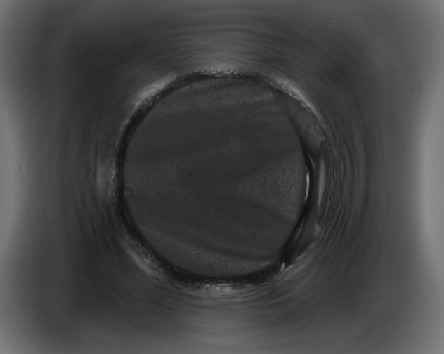 X0000086730588200705041349