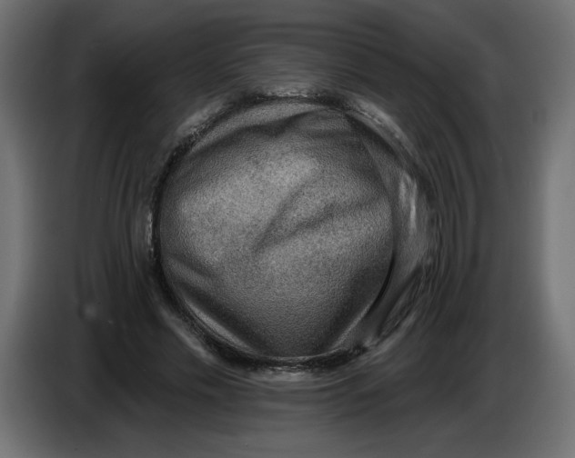 X0000086730589200705041349