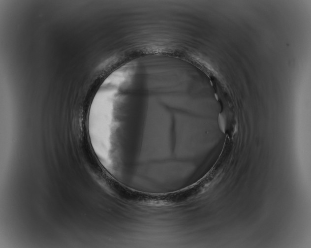 X0000086730590200705041349