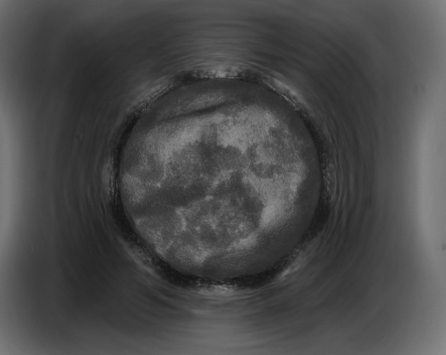 X0000086730594200705041349