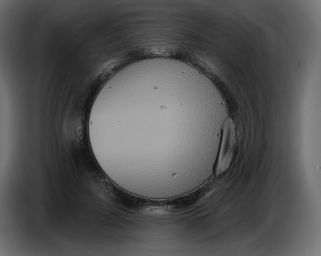 X0000086730595200705041349