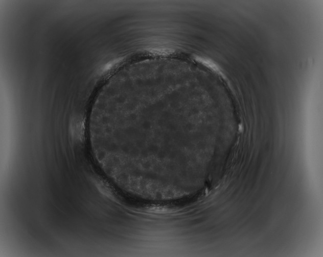 X0000086730596200705041349