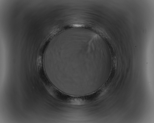 X0000086730598200705041349