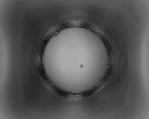 X0000086730599200705041349