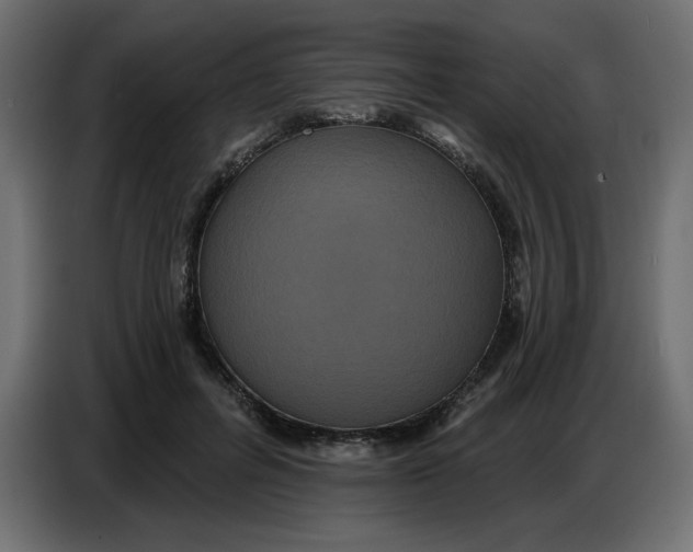 X0000086730600200705041349