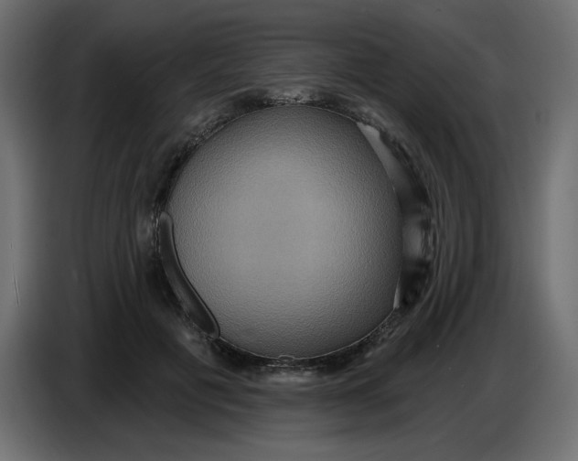 X0000086730601200705041349