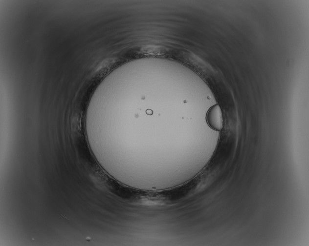 X0000086730603200705041349