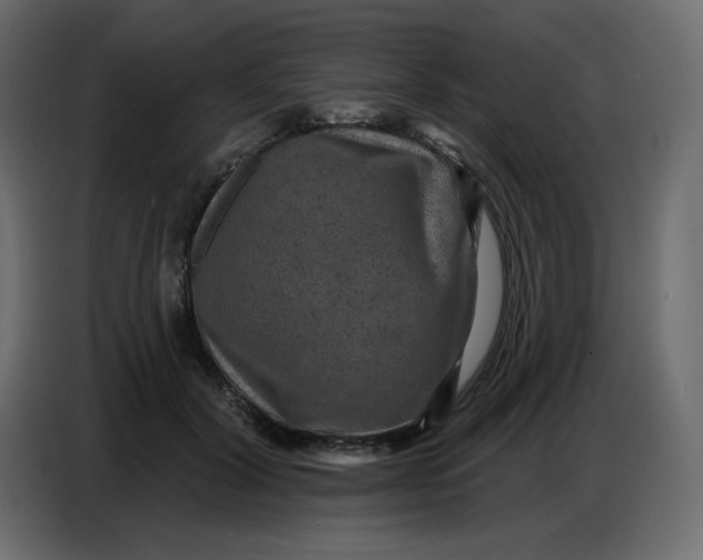 X0000086730604200705041349