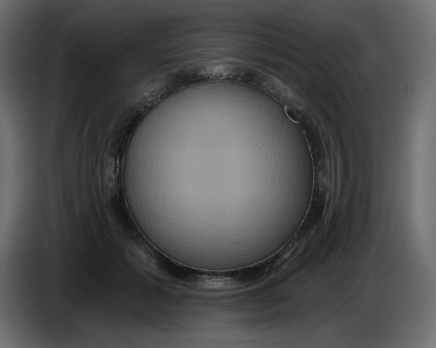 X0000086730605200705041349