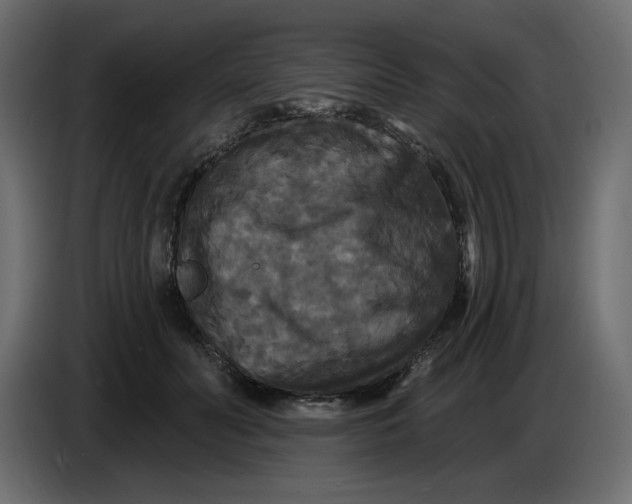 X0000086730606200705041349