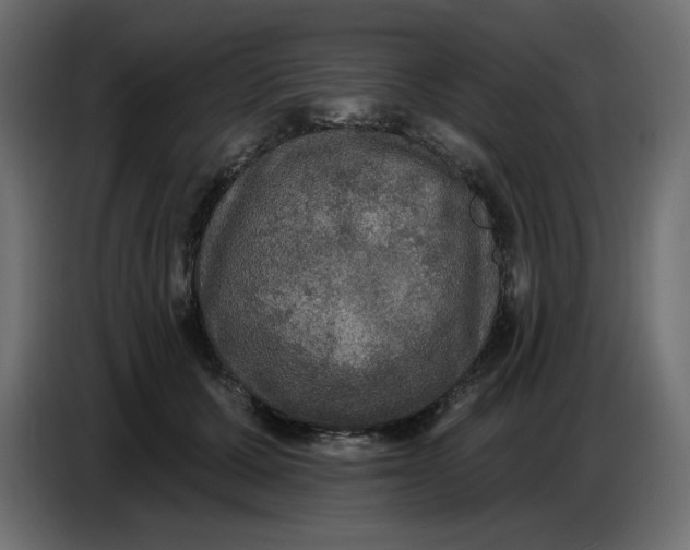 X0000086730607200705041349