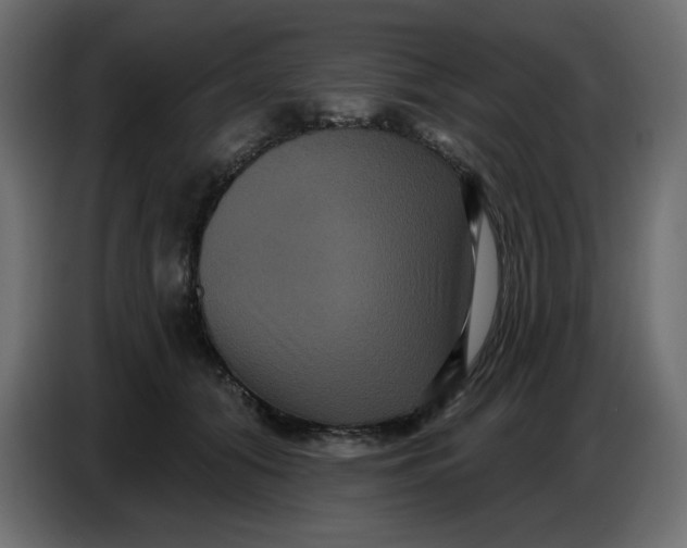 X0000086730608200705041349