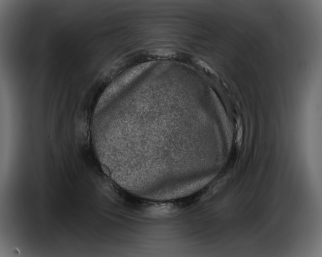 X0000086730609200705041349