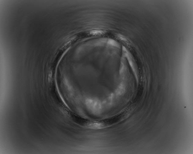 X0000086730610200705041349