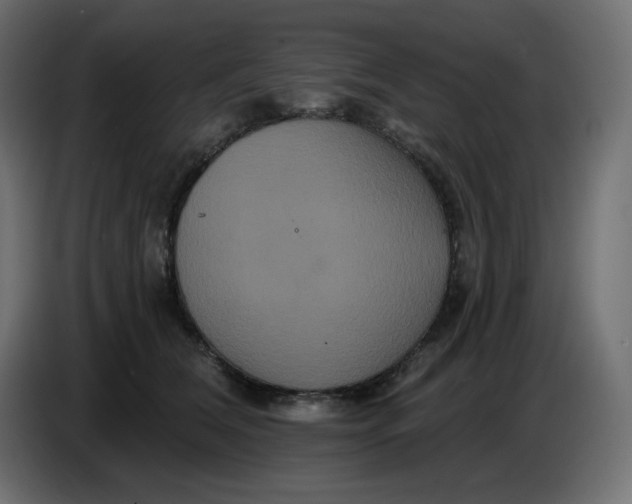 X0000086730612200705041349