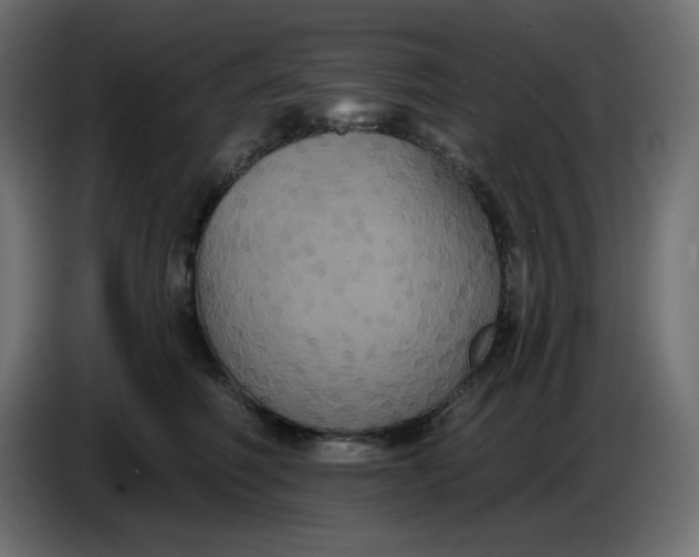 X0000086730614200705041349